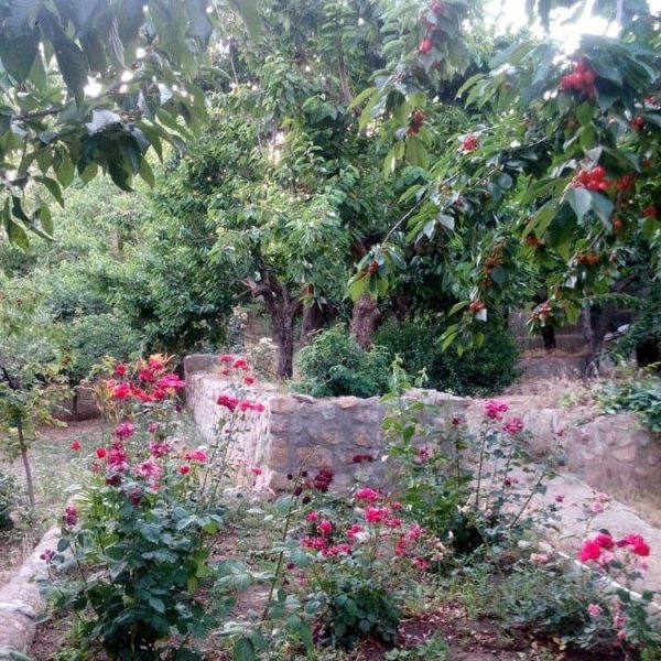 ویلا در لواسان