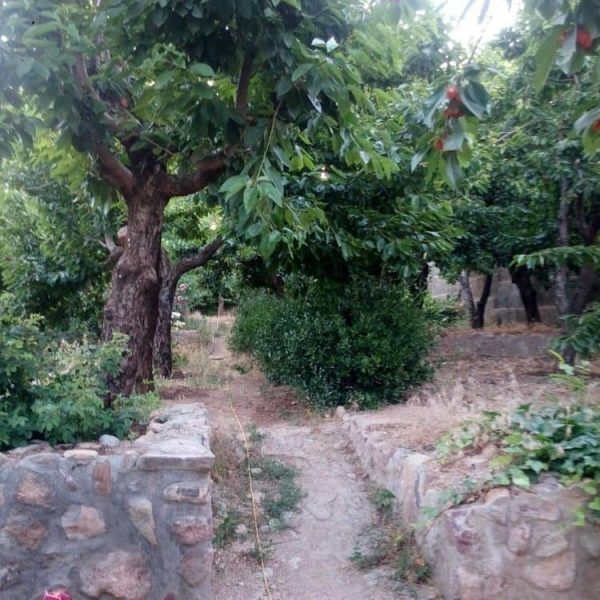 زمین و ملک در لواسان