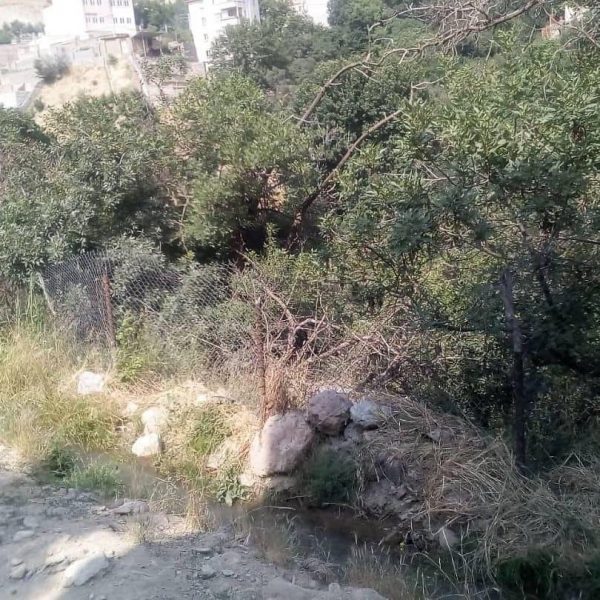 ویلا لواسان