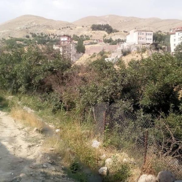 ویلا لواسان