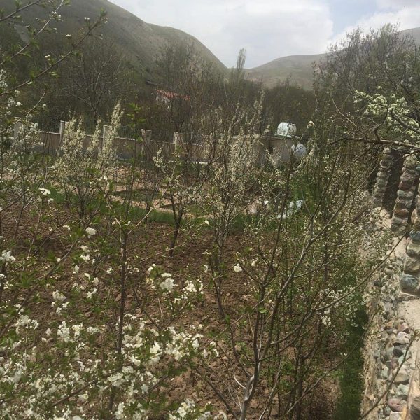 ملک و زمین و ویلا در لواسان