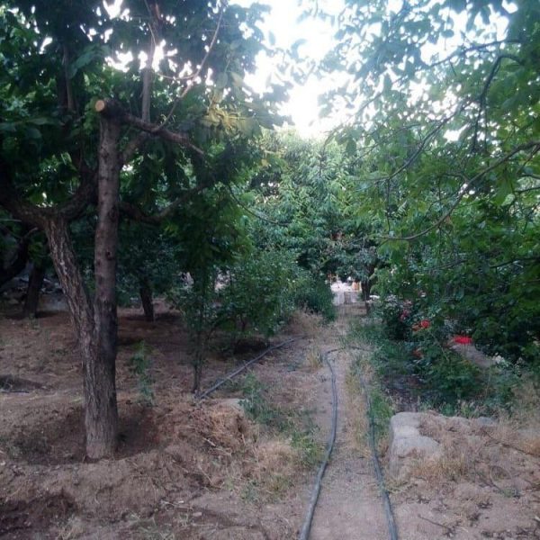 خرید و فرشو زمین و ملک